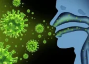 Ancaman Kesehatan Masa Depan: Virus Memerlukan Teknologi dan Kesadaran Publik 15 Ancaman Kesehatan Masa Depan: Virus Memerlukan Teknologi dan Kesadaran Publik
