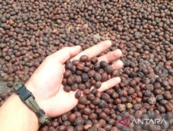 Aroma Kopi Pahit: Perjuangan Afrika Bebas dari Cengkeraman Kolonial