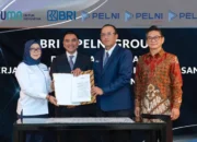 BRI Suntik Dana Rp700 Miliar Dongkrak Armada PELNI Kuasai Laut