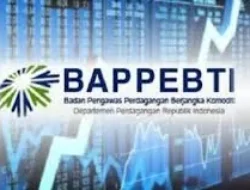 Bappebti Tindak Tegas: 225 Situs Perdagangan Berjangka Ilegal Diblokir 2 Bappebti Tindak Tegas: 225 Situs Perdagangan Berjangka Ilegal Diblokir