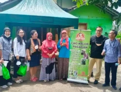 Daun Kelor Sleman: Sukses UMKM Ibu Rumah Tangga Lewat KUR BRI 5 Daun Kelor Sleman: Sukses UMKM Ibu Rumah Tangga Lewat KUR BRI