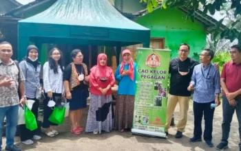 Daun Kelor Sleman Sukses UMKM Ibu Rumah Tangga Lewat KUR BRI
