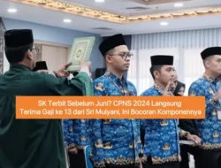 Gaji ke-13 CPNS 2024 Cair Sebelum Juni: Rincian dari Sri Mulyani