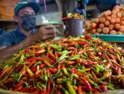 Harga Cabai Rawit dan Bawang Merah Melonjak Tajam, Bapanas Catat Kenaikan Signifikan
