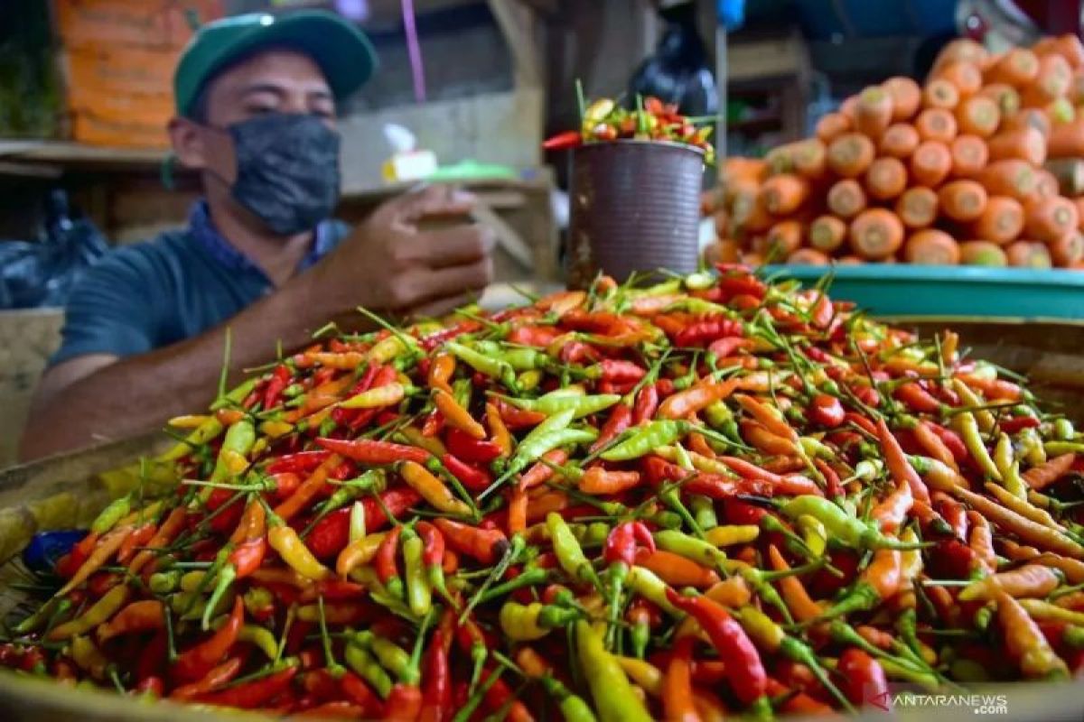 Harga Cabai Rawit dan Bawang Merah Melonjak Tajam, Bapanas Catat Kenaikan Signifikan