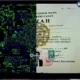 Ijazah Jokowi Asli Bukti Tak Terbantahkan Bareskrim Tutup Kasus