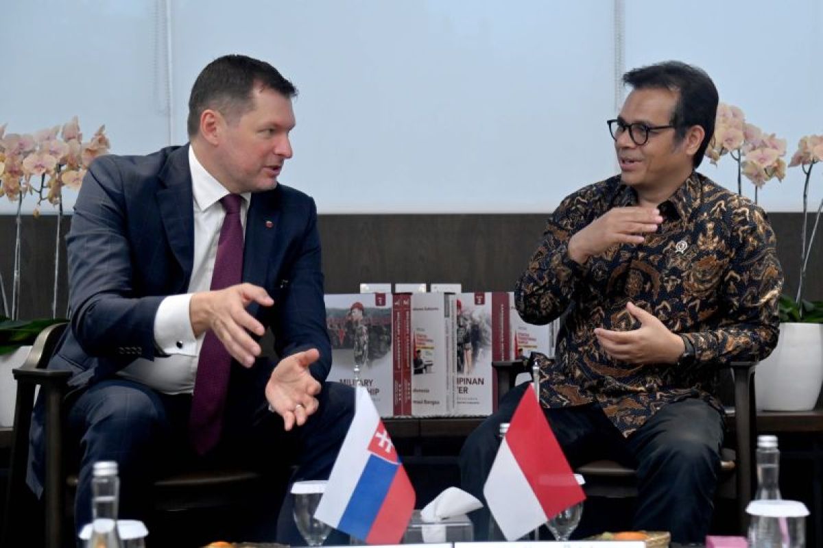 Indonesia-Slovakia Kolaborasi: Menuju Tata Kelola Kecerdasan Buatan Inklusif