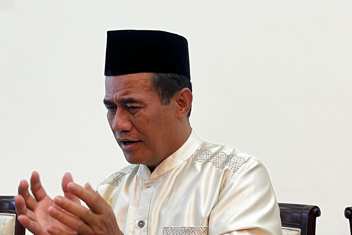 Indonesia Ekspor Beras 2.000 Ton Bulanan, Cukupi Kebutuhan Malaysia
