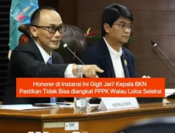 Nasib Honorer Terkatung: Gagal Diangkat PPPK Meski Lolos Seleksi