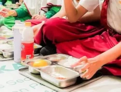 Program MBG: Solusi Jitu Serap Surplus Telur dan Ayam, Dongkrak Ekonomi Peternak