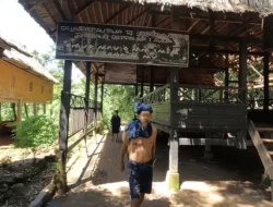 Rahasia Lestari Kajang: Melindungi Hutan Sulawesi Tanpa Eksploitasi