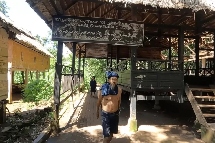 Rahasia Lestari Kajang Melindungi Hutan Sulawesi Tanpa Eksploitasi