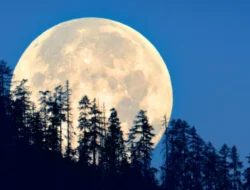 Super New Moon 27 Mei 2025: BMKG Peringatkan Banjir Pesisir