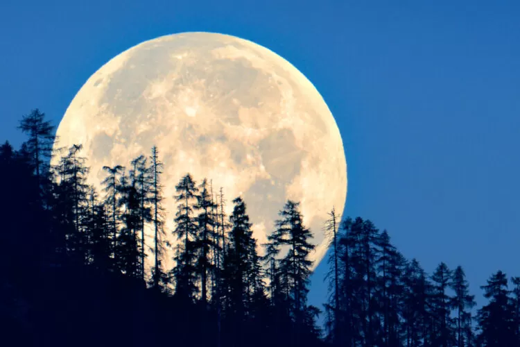 Super New Moon 27 Mei 2025: BMKG Peringatkan Banjir Pesisir