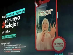 TikTok Ramaikan Hardiknas: Ajak Kreator Ciptakan Konten Edukasi Menarik