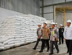 Wapres Dorong Penguatan Rantai Pasokan Pangan Nasional Menuju Ketahanan Pangan 4 Wapres Dorong Penguatan Rantai Pasokan Pangan Nasional Menuju Ketahanan Pangan