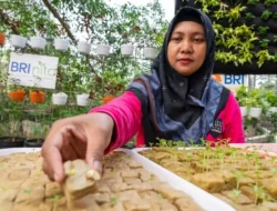 BRInita BRI Inovasi Ketahanan Pangan Perempuan sebagai Pilar Utama