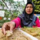 BRInita BRI: Inovasi Ketahanan Pangan, Perempuan sebagai Pilar Utama