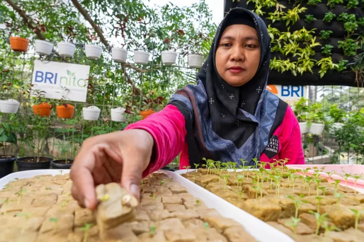 BRInita BRI: Inovasi Ketahanan Pangan, Perempuan sebagai Pilar Utama
