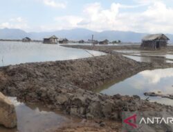 NTB Siaga Banjir Rob Hingga Akhir Juni: Waspadai Genangan Pesisir 6 NTB Siaga Banjir Rob Hingga Akhir Juni: Waspadai Genangan Pesisir