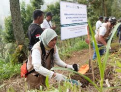 PLN Jatim Lestarikan Ekosistem TNBTS, Tanam 3.000 Pohon Cemara