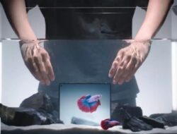 Vivo X Fold 5: Ketahanan Air, Debu, dan Jatuh, Revolusi Lipat Terbaru