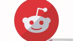 X Perketat Aturan Cegah Pelatihan AI Ilegal Pakai Data Pengguna