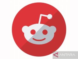 X Perketat Aturan: Cegah Pelatihan AI Ilegal Pakai Data Pengguna