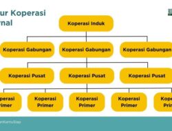 Struktur Organisasi dan Fungsi Koperasi Desa Merah Putih