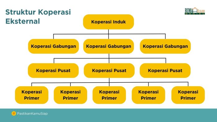 Struktur Organisasi dan Fungsi Koperasi Desa Merah Putih