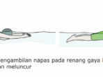 Berlatih Pengambilan Napas pada Renang Gaya Bebas, Kunci Jawaban Soal …
