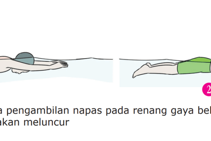 Berlatih Pengambilan Napas pada Renang Gaya Bebas, Kunci Jawaban Soal ... Menghirup udara pada saat bernapas pada renang gaya bebas adalah
