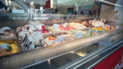 Jelajah Jakarta Monas Kota Tua dan Es Krim Legendaris 1951