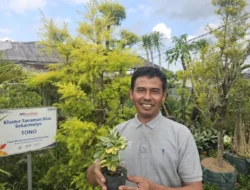 Klaster Tanaman Hias BRI Kota Batu: Sukses Bersemi, Ubah Hidup Warga