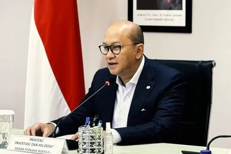 Kolaborasi Danantara ACWA Power Akselerasi Transisi Energi Berkelanjutan