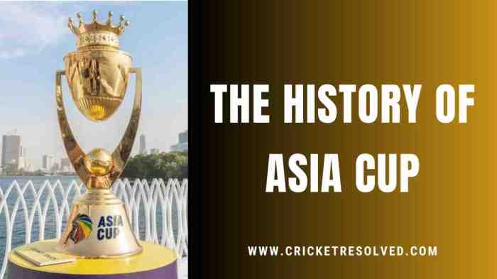 EAFF East Asian Cup Turnamen Sepak Bola Asia Timur