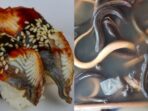 Ikan mentah yang dijadikan bahan masakan sushi dinamakan