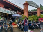 Taman puring