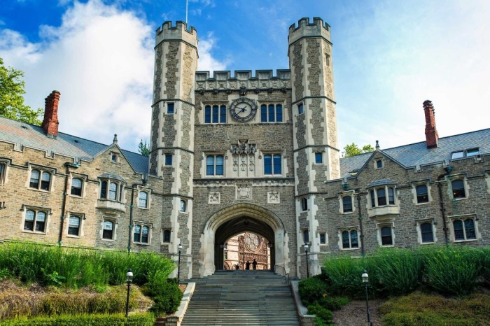 Princeton university