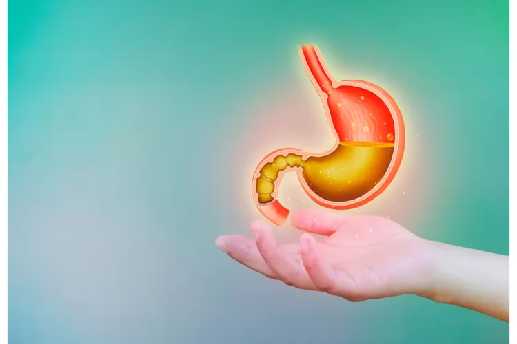 7 Gejala Awal Asam Lambung yang Sering Diabaikan Waspadai
