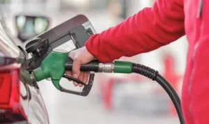 Biodiesel Mengenal Proses Produksi dan Potensinya Sebagai Energi Terbarukan