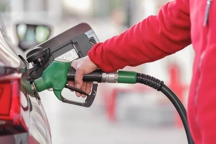 Biodiesel Mengenal Proses Produksi dan Potensinya Sebagai Energi Terbarukan