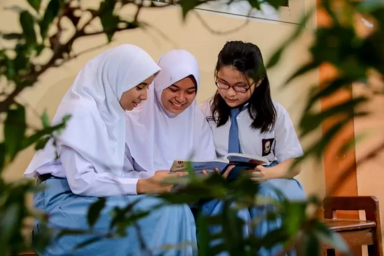 PIP Tahap 2 2025 Cek Status Penerima Besaran Dana Sekarang